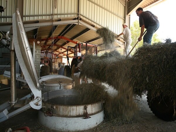 Distillerie Aroma'Plantes - Sault